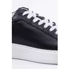 Coach Collection Dark